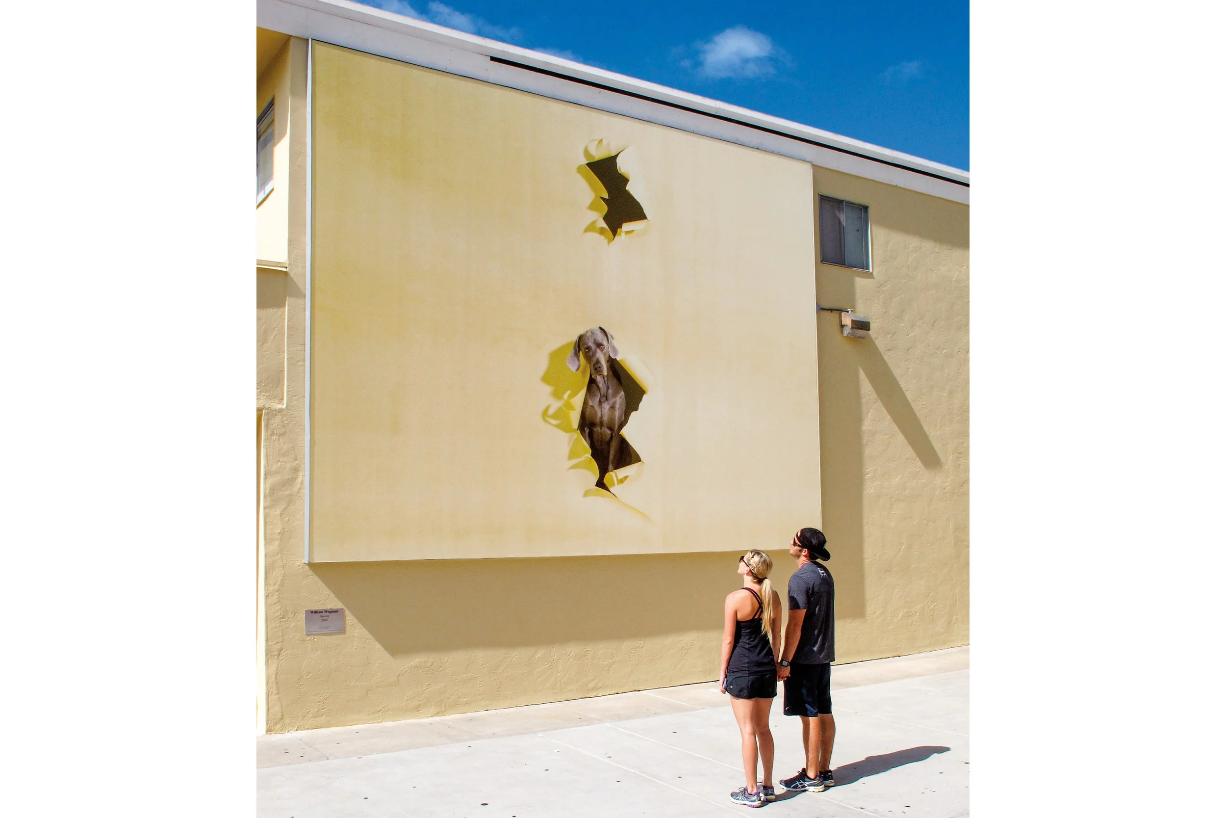 William Wegman (Past Project) — Murals of La Jolla